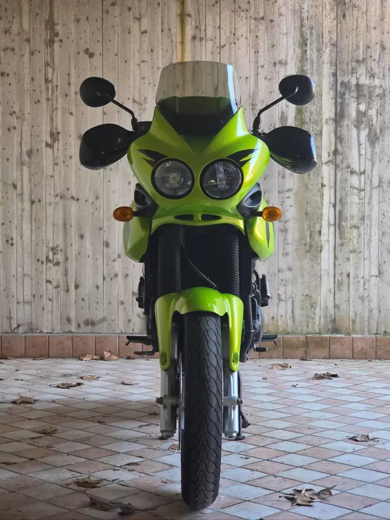 Triumph Tiger 955 (2002 - 06) (5)