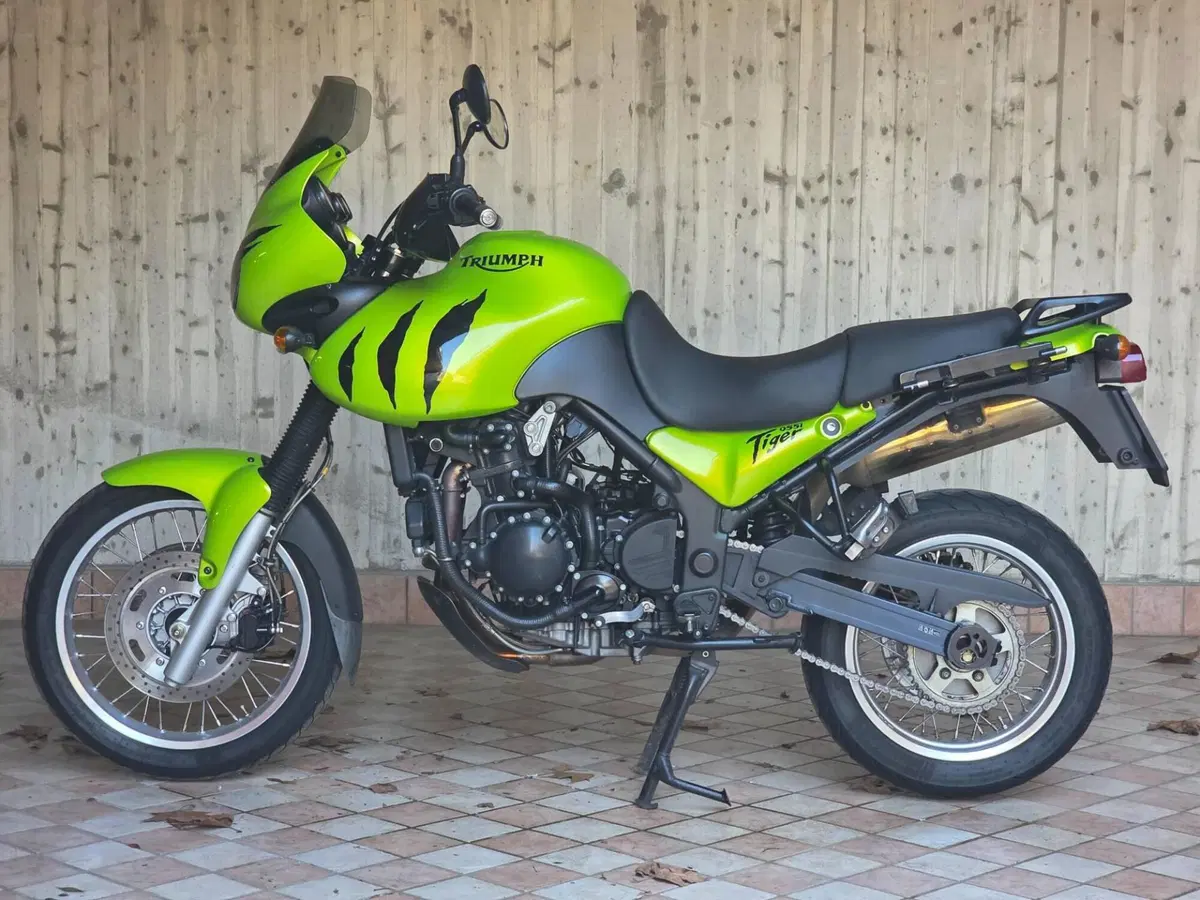 Triumph Tiger 955 (2002 - 06) (6)