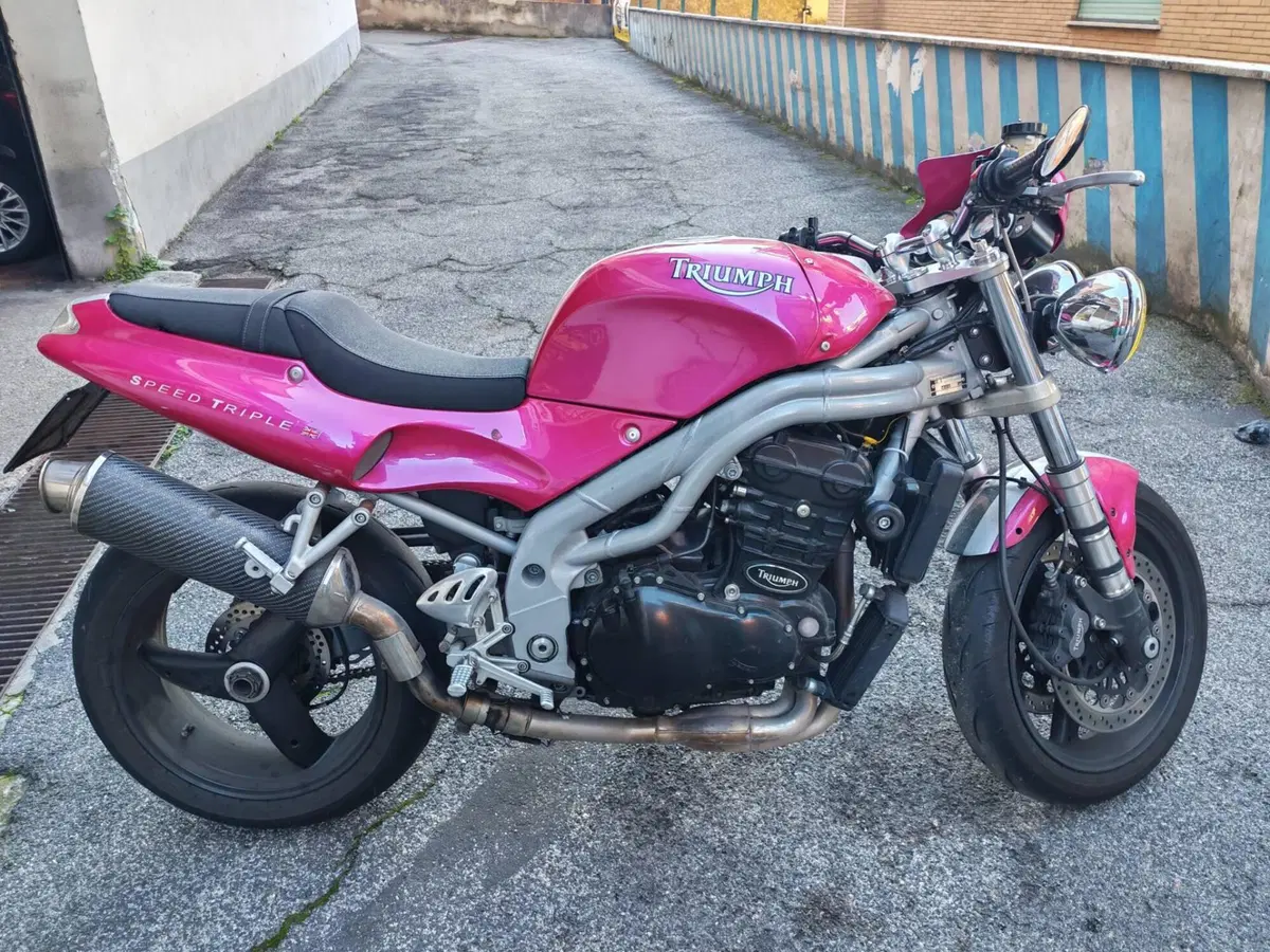 Triumph Speed Triple 955 (1998 - 01) (2)