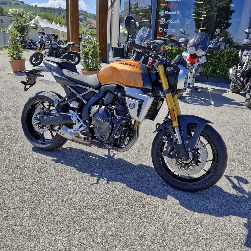 Suzuki GSX-8T (2025 - 26) (2)