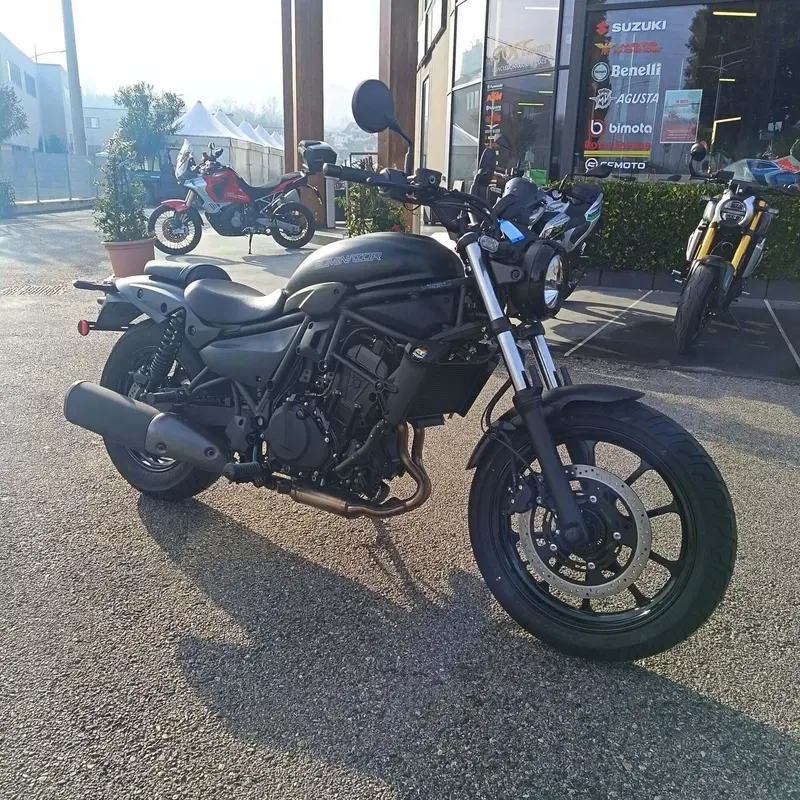 Kawasaki Eliminator 500 (2024 - 26) (5)