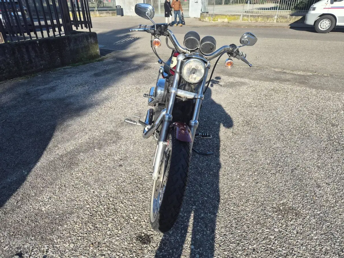 Harley-Davidson 1200 Roadster (2006 - 08) - XL 1200R (3)