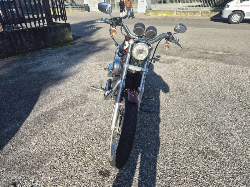 Harley-Davidson 1200 Roadster (2006 - 08) - XL 1200R (3)