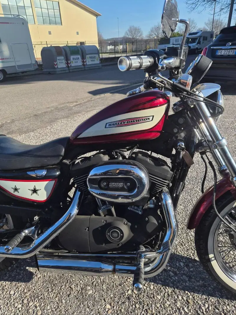 Harley-Davidson 1200 Roadster (2006 - 08) - XL 1200R (5)