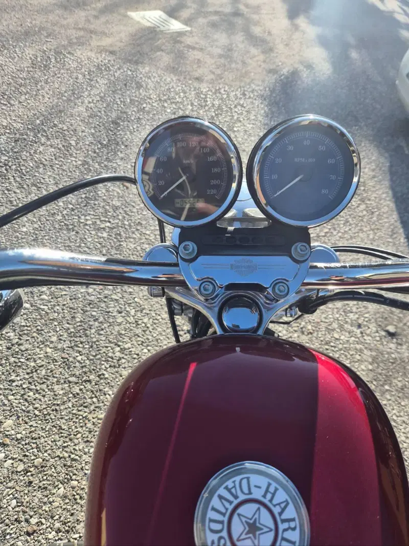 Harley-Davidson 1200 Roadster (2006 - 08) - XL 1200R (6)