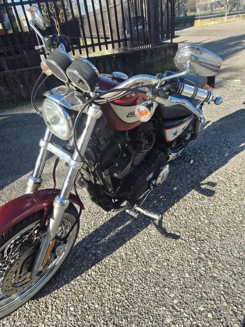 Harley-Davidson 1200 Roadster (2006 - 08) - XL 1200R (7)