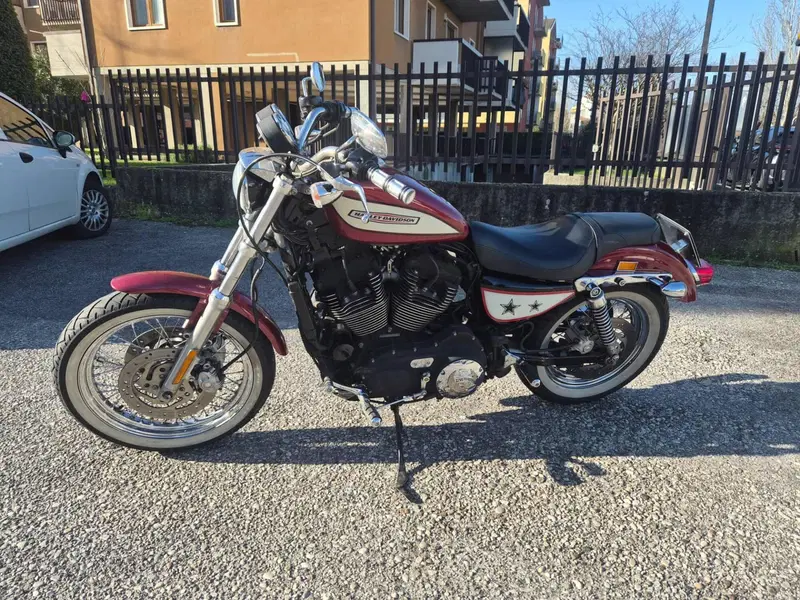 Harley-Davidson 1200 Roadster (2006 - 08) - XL 1200R (8)