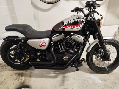 Harley-Davidson XL 1200N Nightster (2008 - 12) usata