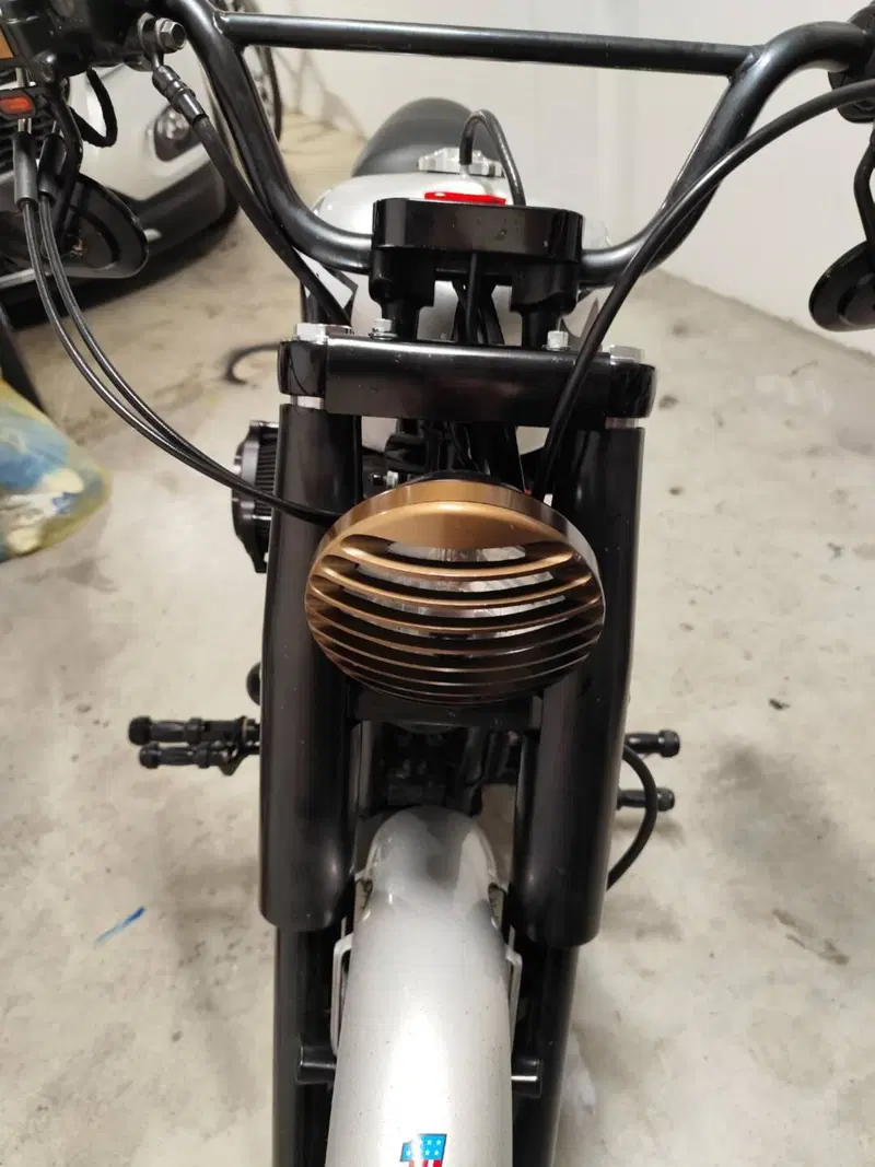 Harley-Davidson XL 1200N Nightster (2008 - 12) (8)