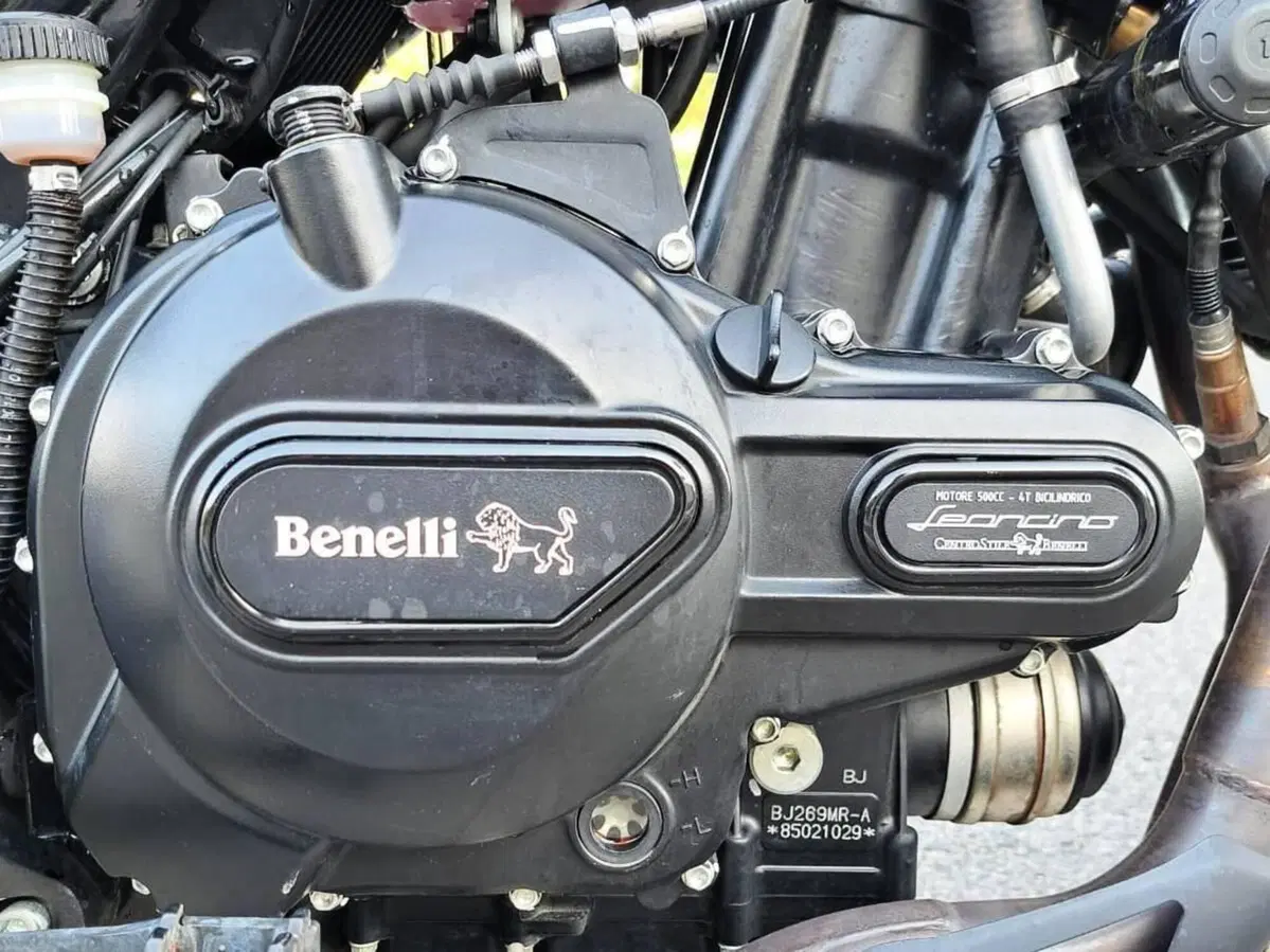 Benelli Leoncino 500 Trail ABS (2017 - 20) (14)