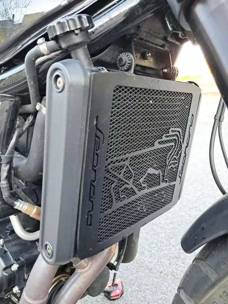 Benelli Leoncino 500 Trail ABS (2017 - 20) (15)