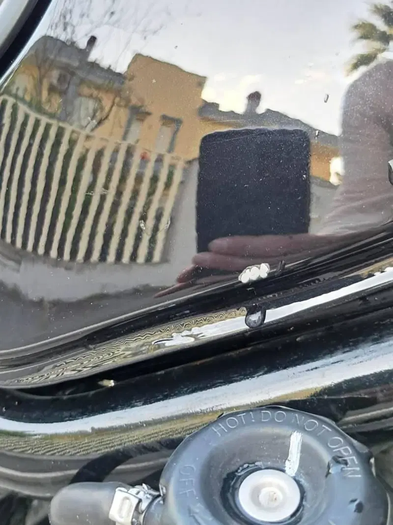 Benelli Leoncino 500 Trail ABS (2017 - 20) (19)