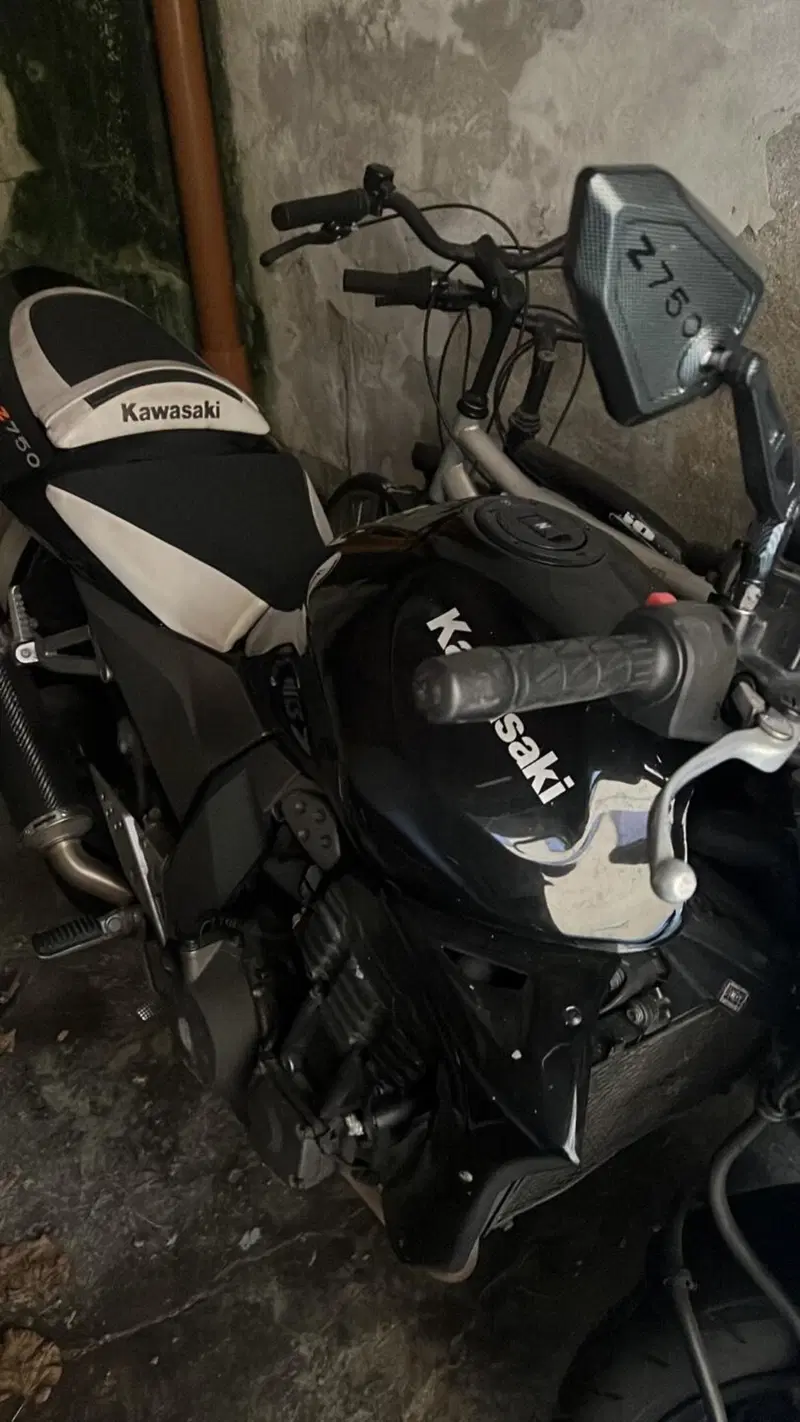 Kawasaki Z 750 (2003 - 06) (9)
