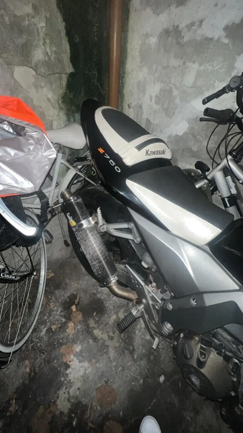 Kawasaki Z 750 (2003 - 06) (10)