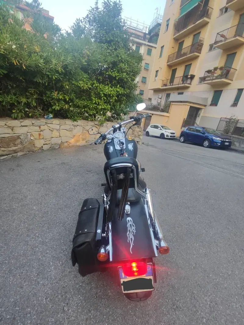 Harley-Davidson 1584 Fat Bob (2007 - 13) - FXDF (9)