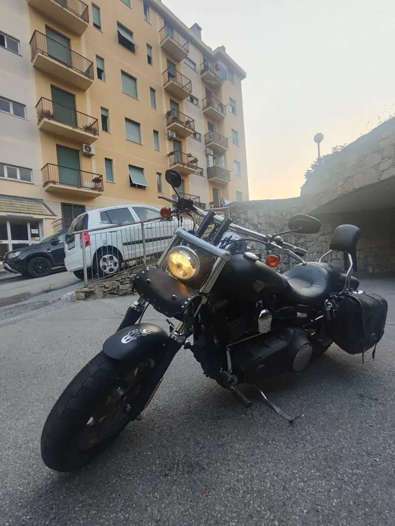 Harley-Davidson 1584 Fat Bob (2007 - 13) - FXDF (10)