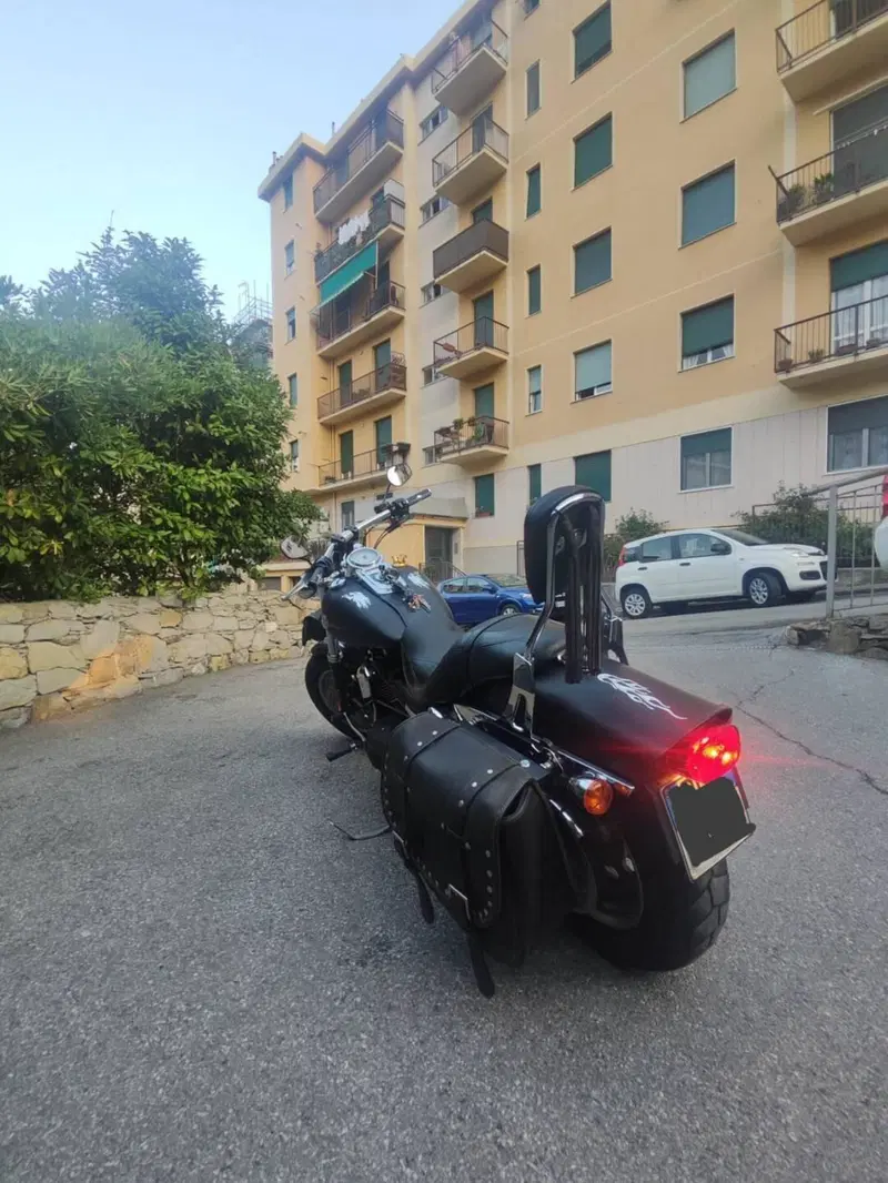 Harley-Davidson 1584 Fat Bob (2007 - 13) - FXDF (12)