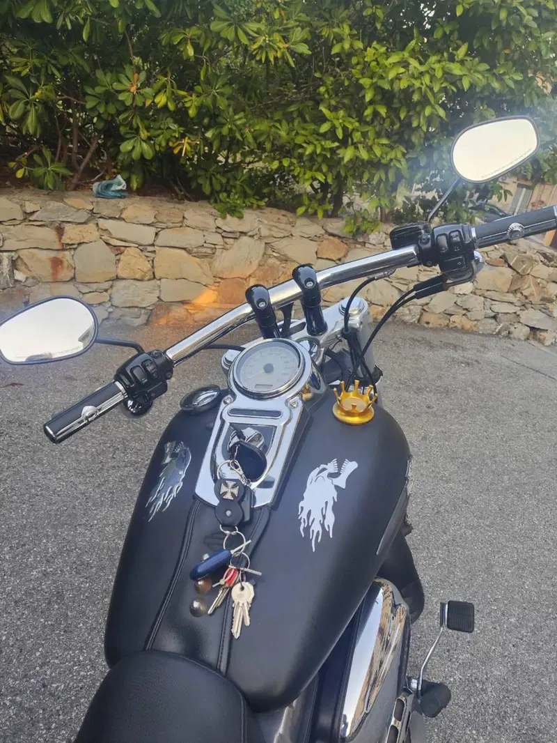 Harley-Davidson 1584 Fat Bob (2007 - 13) - FXDF (14)