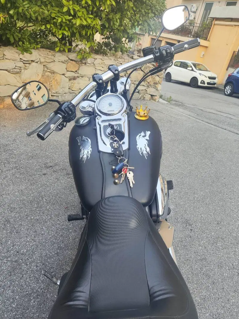 Harley-Davidson 1584 Fat Bob (2007 - 13) - FXDF (15)