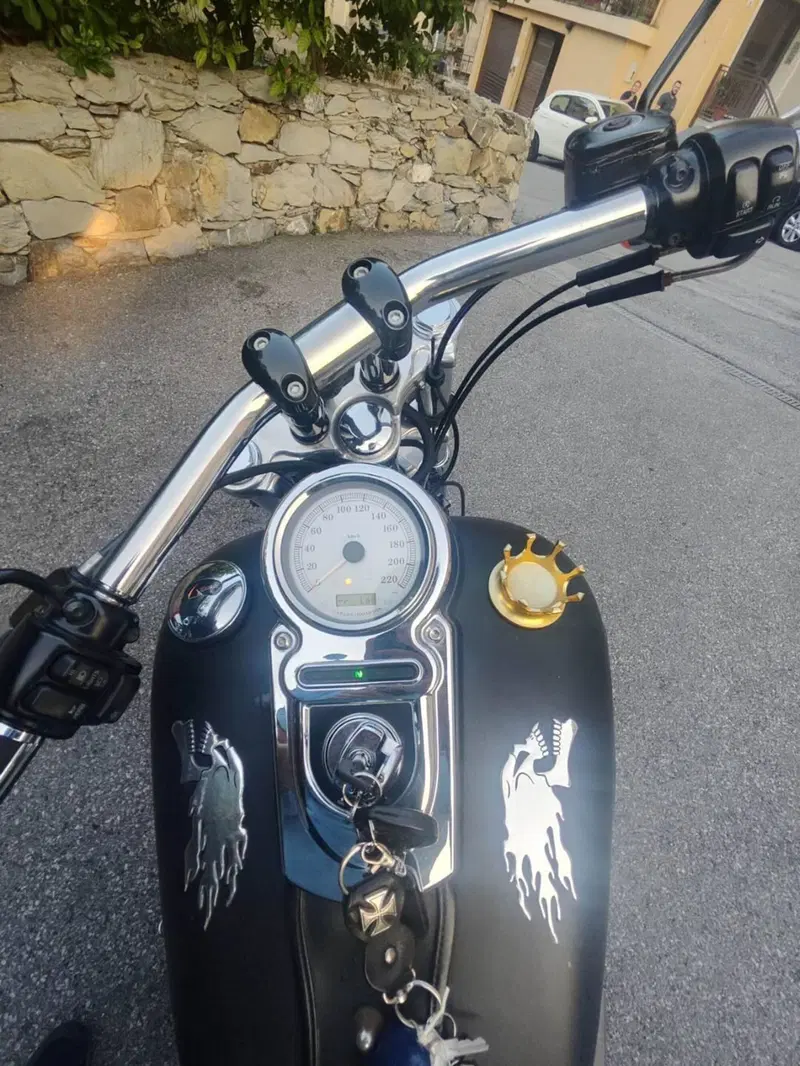 Harley-Davidson 1584 Fat Bob (2007 - 13) - FXDF (16)