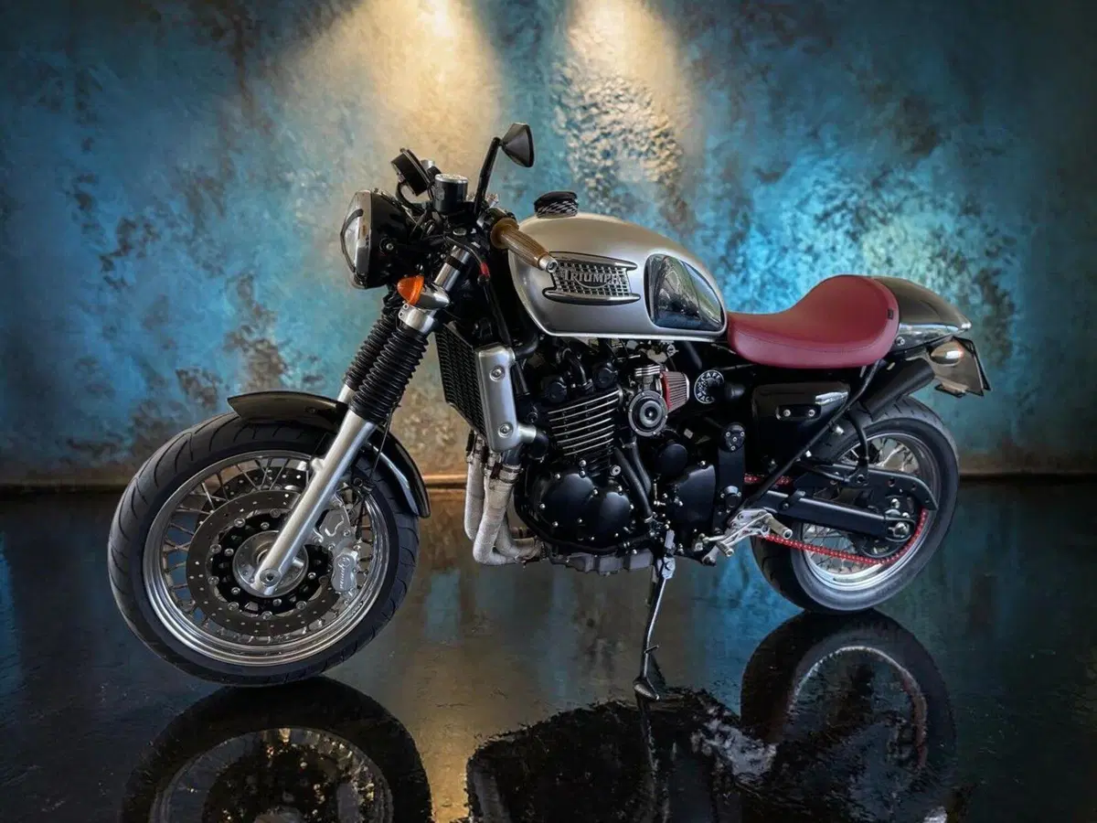 Triumph Thunderbird 900 Sport (2003 - 04) (5)