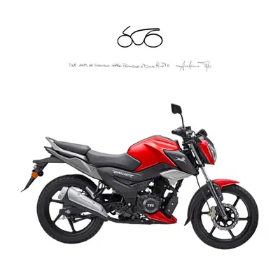 TVS Motor Raider 125 (2024 - 26) usata