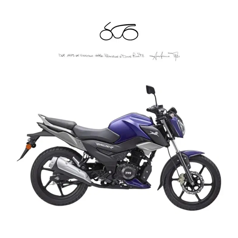 TVS Motor Raider 125 (2024 - 26)