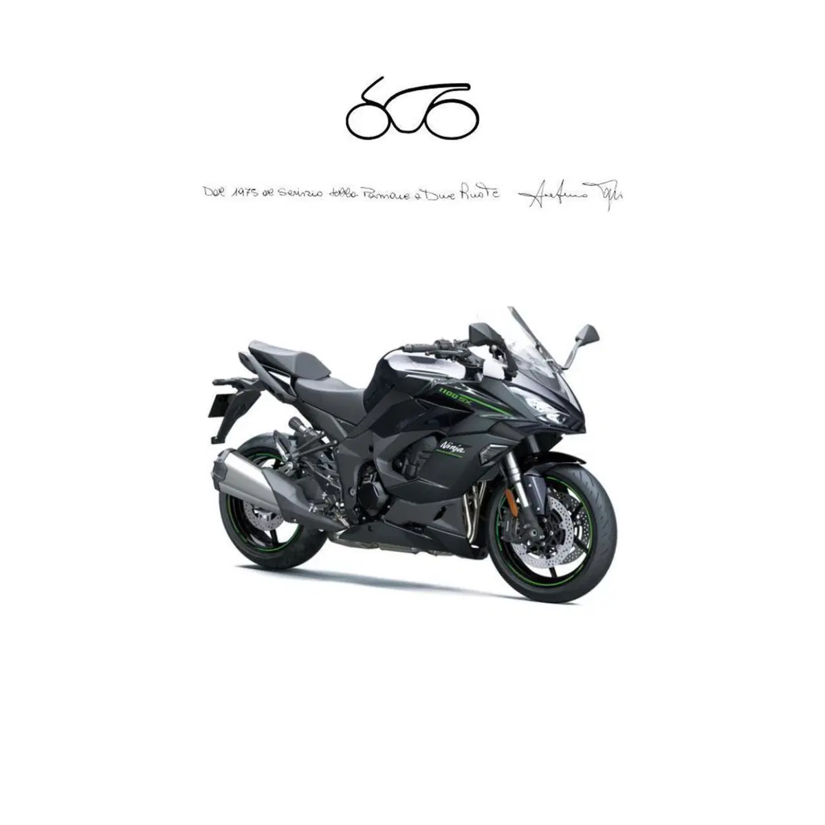 Kawasaki Ninja 1100 SX (2025 - 26)