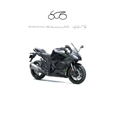 Kawasaki Ninja 1100 SX (2025 - 26) usata