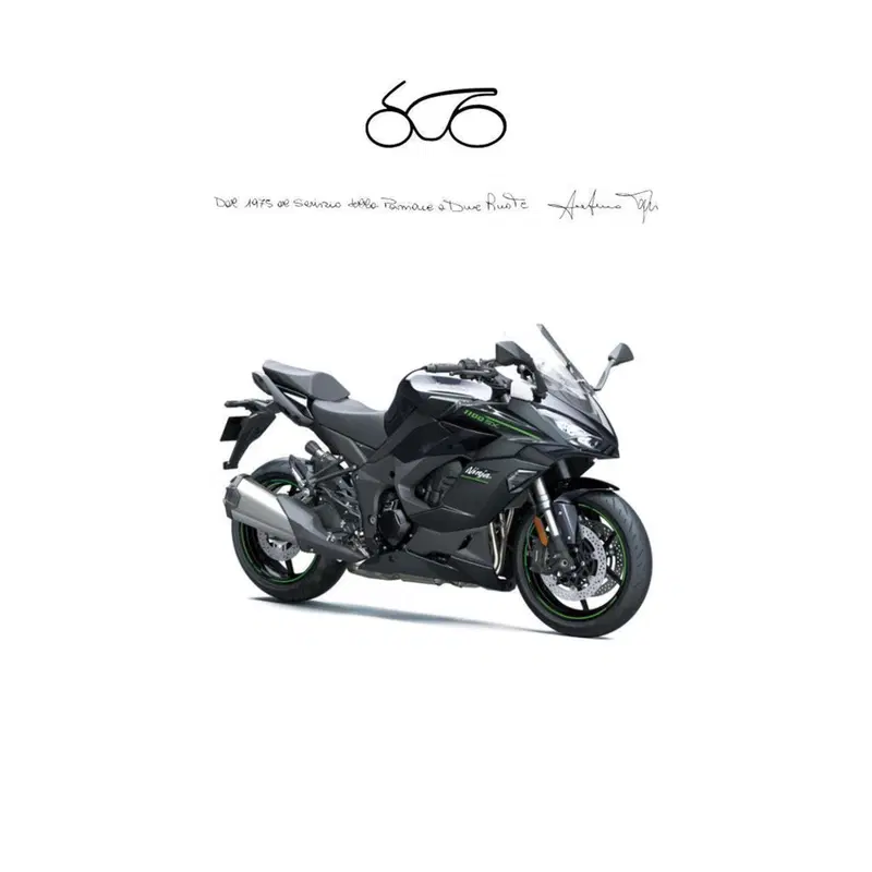 Kawasaki Ninja 1100 SX (2025 - 26)