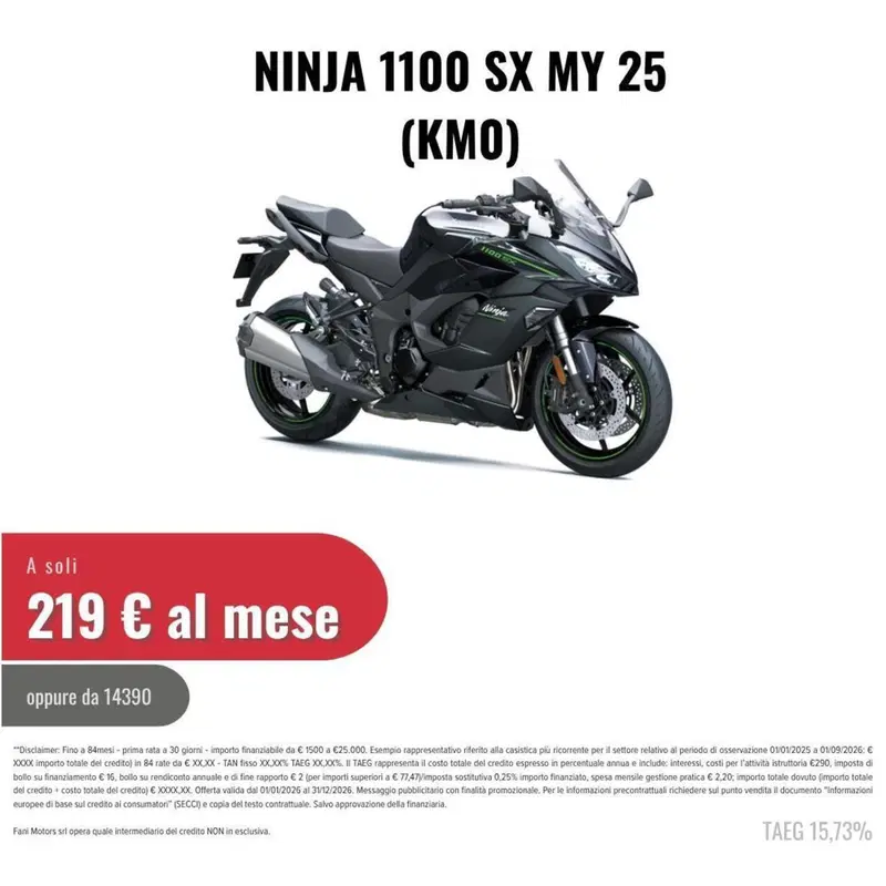 Kawasaki Ninja 1100 SX (2025 - 26) (2)
