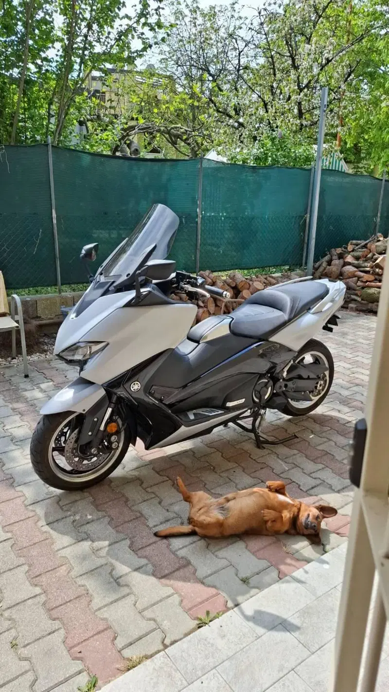Yamaha T-Max 530 DX (2017 - 19) (6)