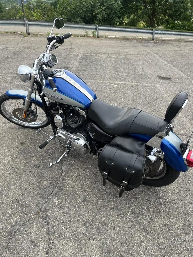 Harley-Davidson 1200 Custom (2007 - 13) - XL 1200C (4)