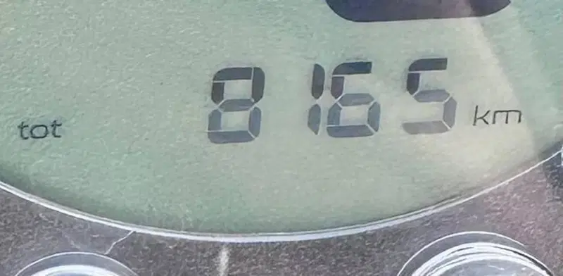 Benelli Leoncino 500 Trail (2021 - 26) (2)