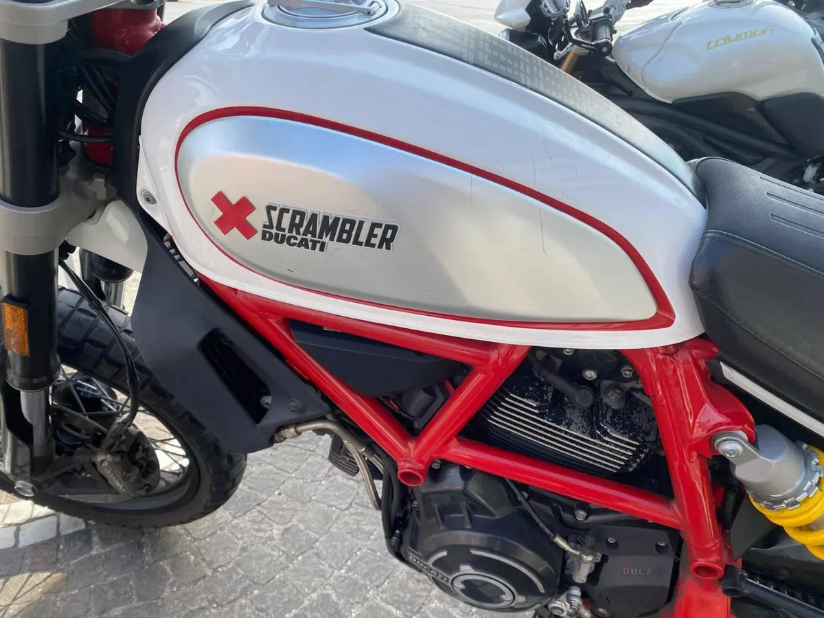 Ducati Scrambler 800 Desert Sled (2017 - 20) (6)