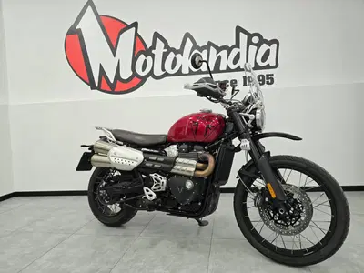 Triumph Scrambler 1200 X (2024 - 26) usata