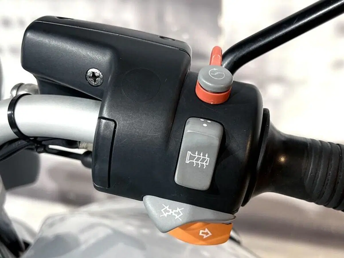 Bmw R 1150 R (2000 - 07) (5)