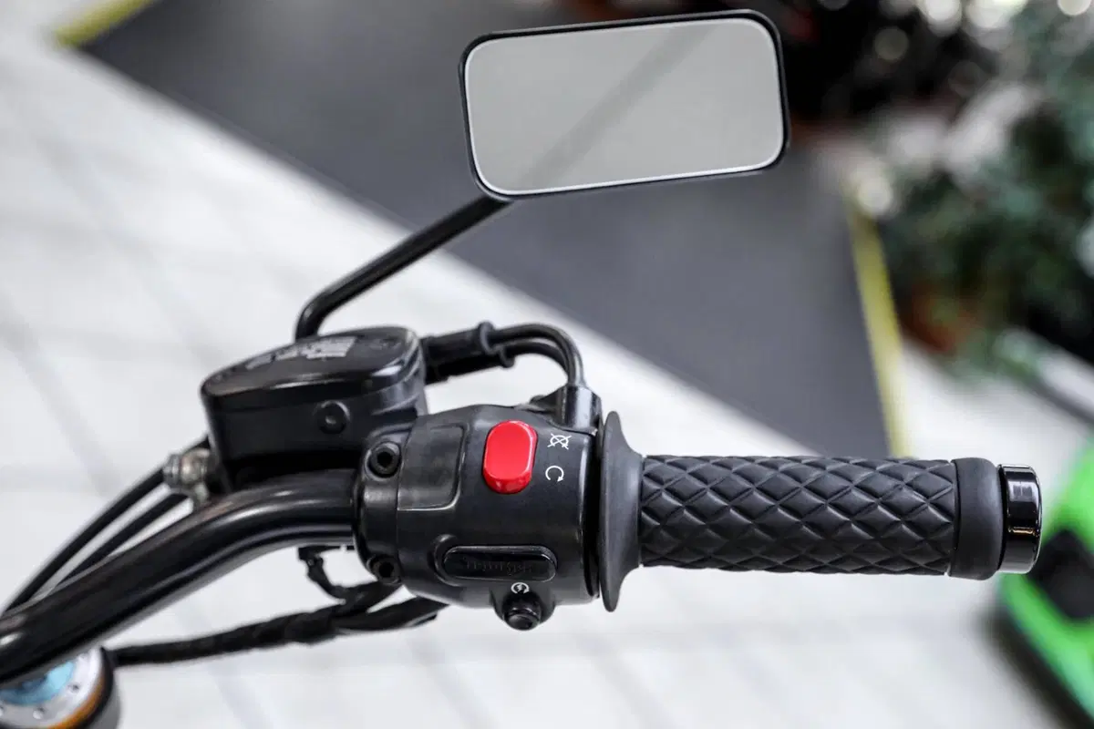 Triumph Bonneville (2007 - 16) (13)