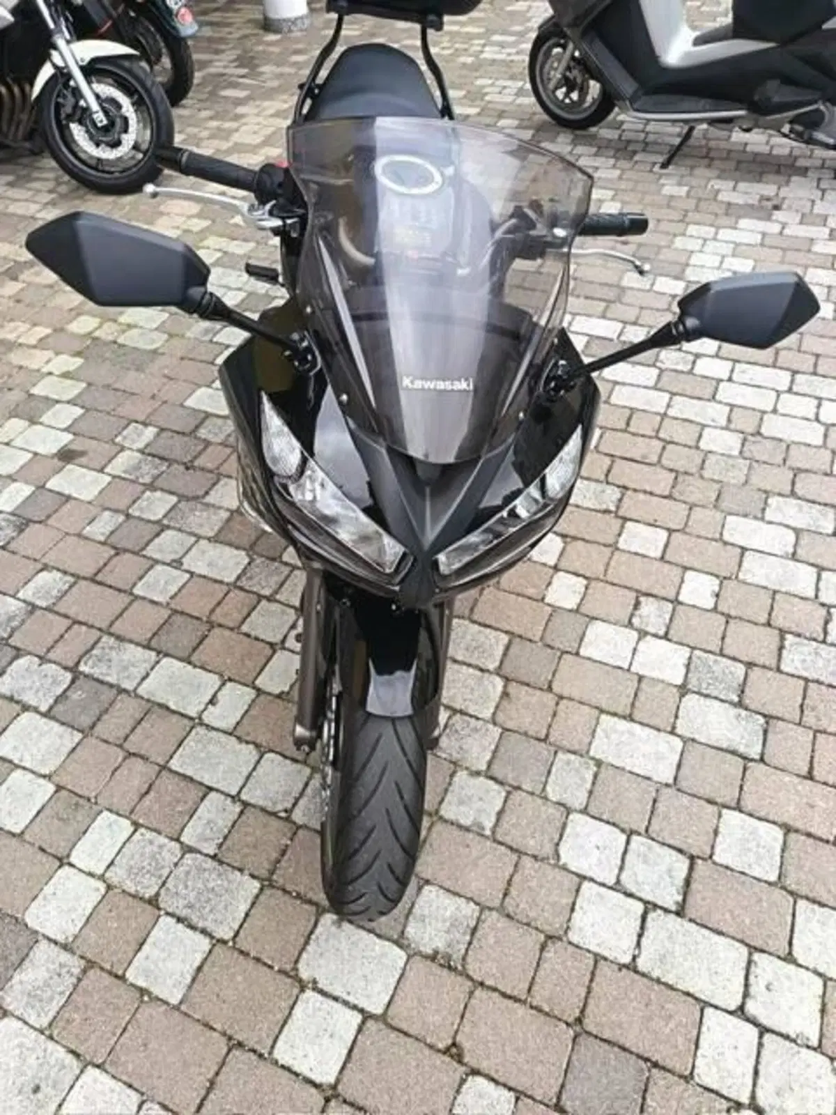 Kawasaki ER-6F (2009 - 11) (3)