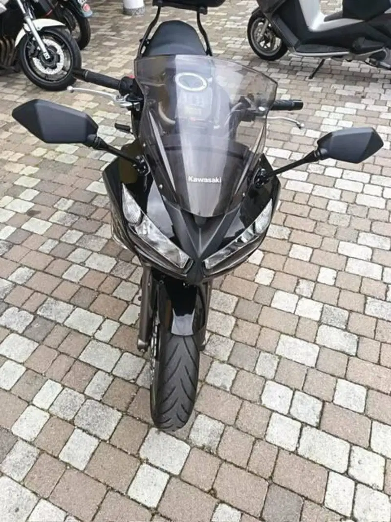 Kawasaki ER-6F (2009 - 11) (3)