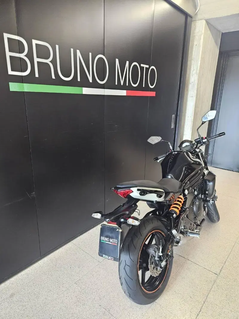 Kawasaki ER-6N ABS (2012 - 16) (2)