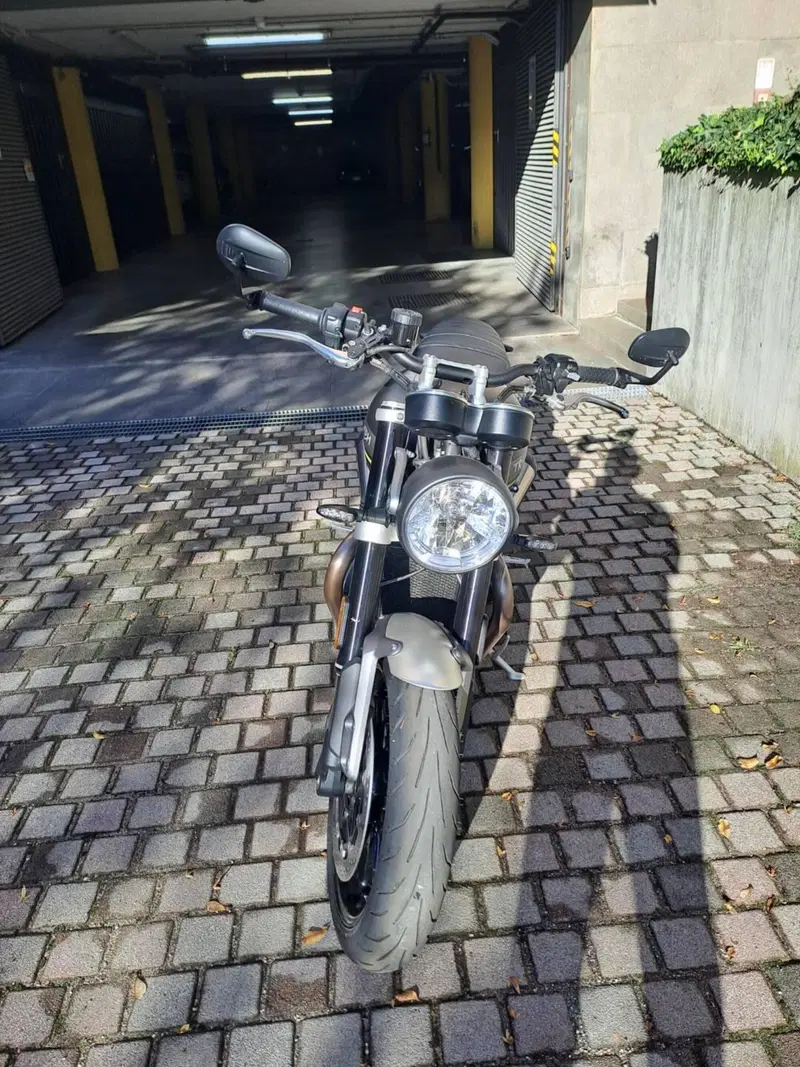 Triumph Speed Twin 1200 (2021 - 24) (2)