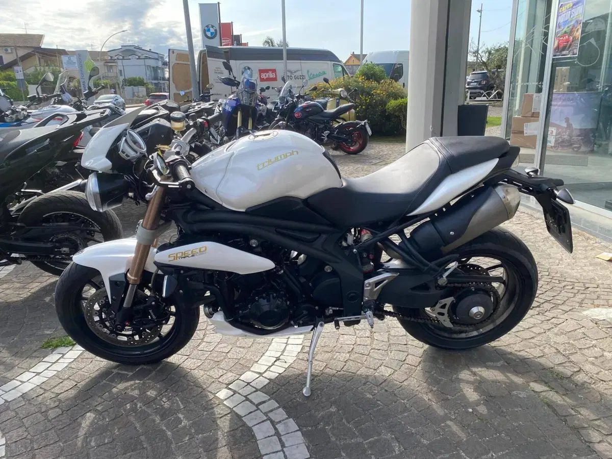 Triumph Speed Triple 1050 (2011 - 13) (2)