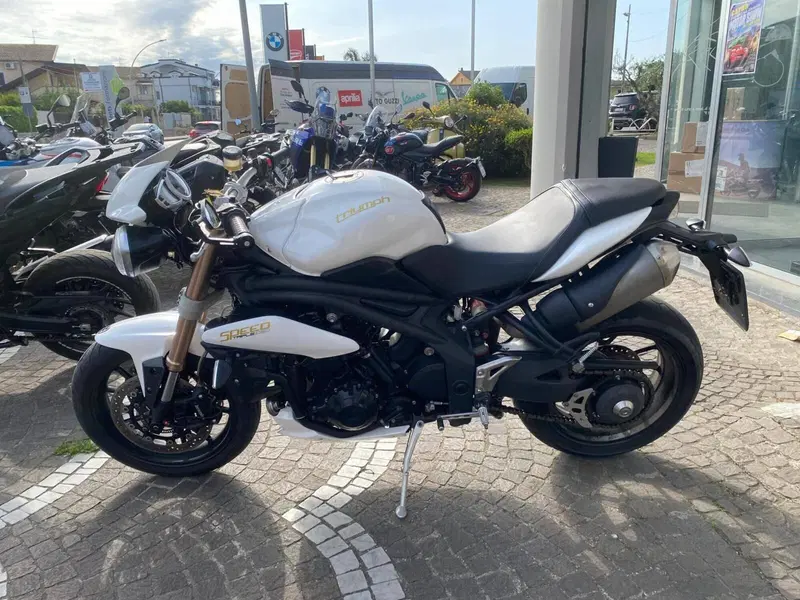 Triumph Speed Triple 1050 (2011 - 13) (2)