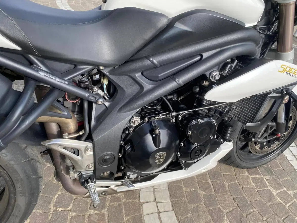 Triumph Speed Triple 1050 (2011 - 13) (7)