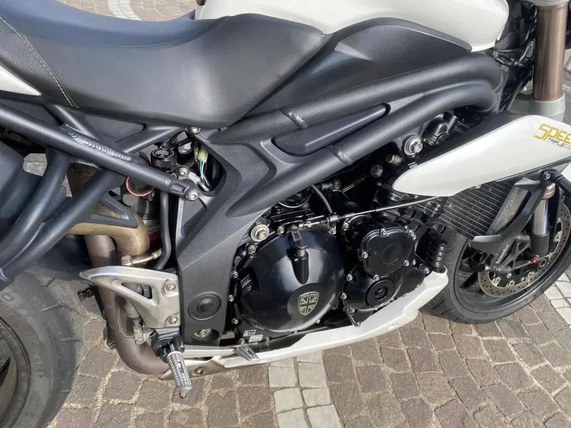 Triumph Speed Triple 1050 (2011 - 13) (7)