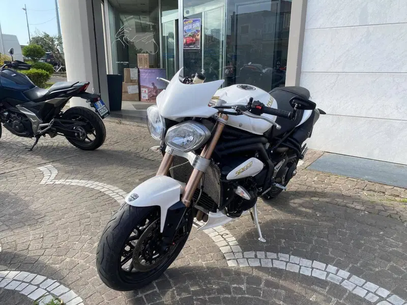 Triumph Speed Triple 1050 (2011 - 13) (4)