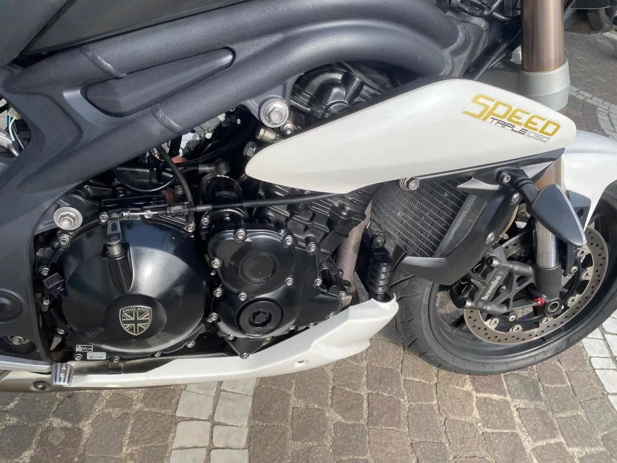 Triumph Speed Triple 1050 (2011 - 13) (8)