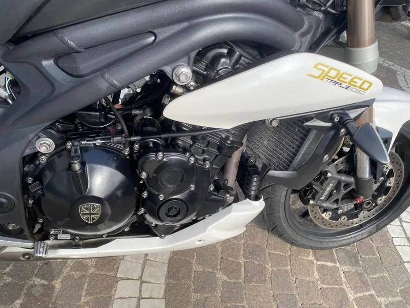 Triumph Speed Triple 1050 (2011 - 13) (8)