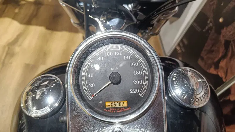 Harley-Davidson 1450 Standard (2002 - 05) - FXSTI (6)